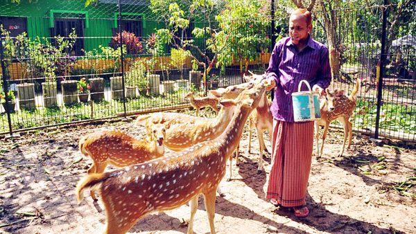 বিশ্বনাথে বসত বাড়িতে সৌখিন চাষির শখের খামার