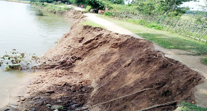 গোয়াইনঘাটে সারী নদী ভাঙ্গন হুমকিতে শতাধিক পরিবার