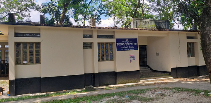 গোয়াইনঘাট প্রাণী সম্পদ হাসপাতালে ১১পদের বিপরীতে আছেন মাত্র ২জন