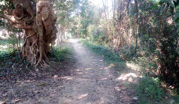 বিশ্বনাথে মাত্র দেড় কিলোমিটার রাস্তার জন্য প্রধানমন্ত্রীর দৃষ্টি কামনা