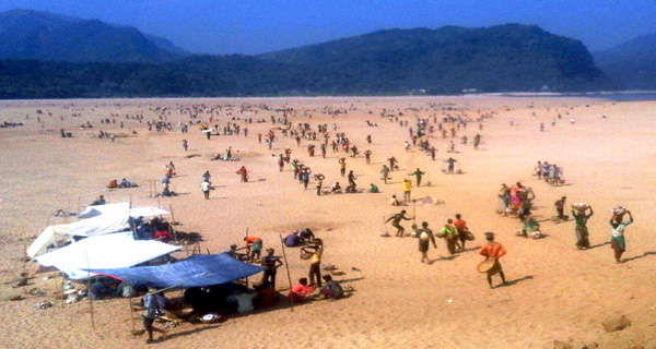 তাহিরপুর সীমান্ত সোর্সদের নিয়ন্ত্রণে:২টি গরুসহ গ্রেফতার ৩