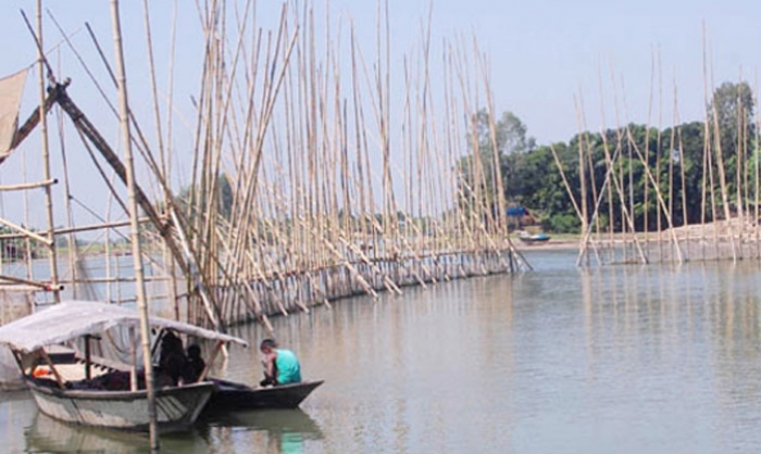 সুনামগঞ্জে সরকারি জলমহাল ইজারা না নিয়ে মাছ শিকার,রাজস্ব বঞ্চিত হচ্ছে সরকার