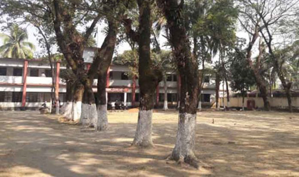 বিশ্বনাথে ৫ কোটি টাকার উপজেলা কমপ্লেক্স সম্প্রসারণ প্রকল্প : কাজ শুরুর আগেই মেয়াদ শেষ!