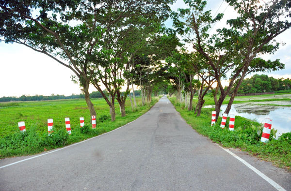 বিশ্বনাথ-জগন্নাথপুর বাইপাস সড়ক পর্যটকদের আকৃষ্ট করছে