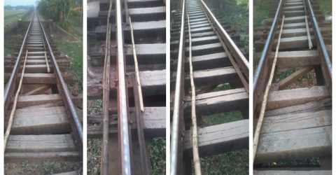 ৮০ টি নাটের জায়গায় রয়েছে ৩৫টি, দেয়া হয়েছে বাঁশ:দুর্ঘটনার আশংকা