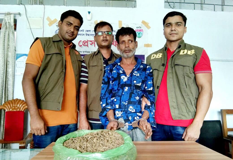 জৈন্তাপুরে ডিবির অভিযানে গাজাসহ মাদক ব্যবসায়ী গ্রেফতার