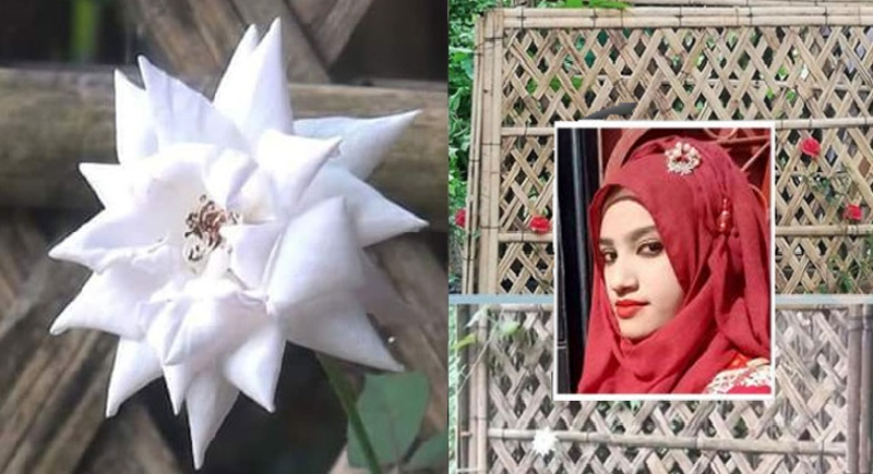 রায়ের দিনে নুসরাতের কবরে ফুটেছে সাদা গোলাপ, ফেসবুকে ভাইরাল