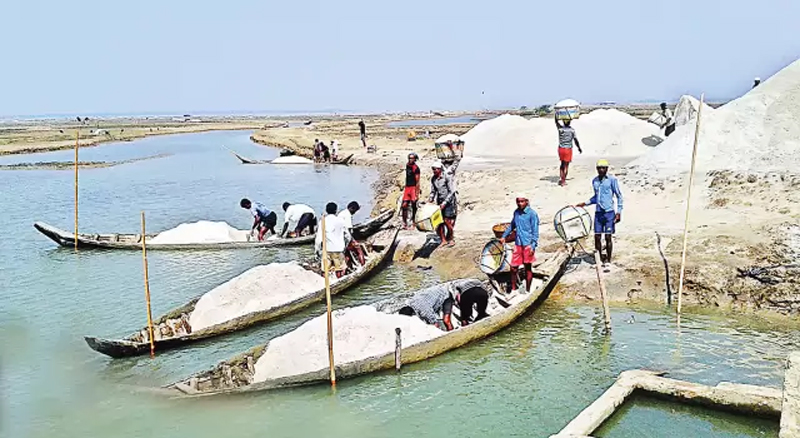 কক্সবাজারে লবণ উৎপাদনে ৫৮ বছরের রেকর্ড