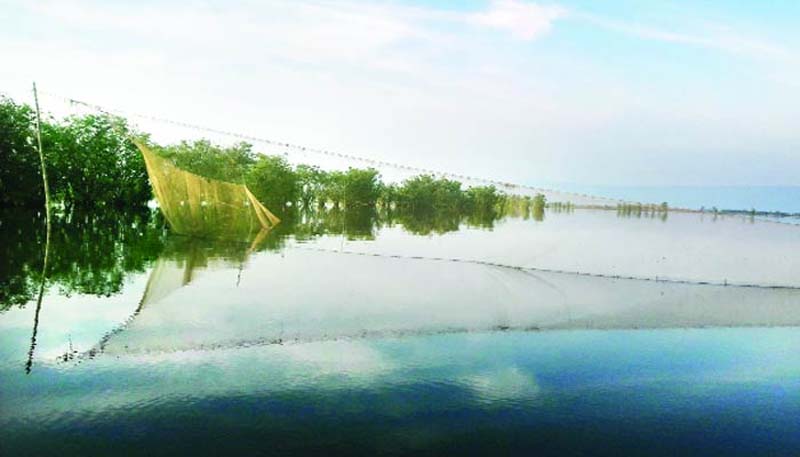 সুনামগঞ্জের হাওর গিলে খাচ্ছে প্রভাবশালীরা