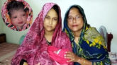 বুলবুলের দিন বুলবুলির জন্ম