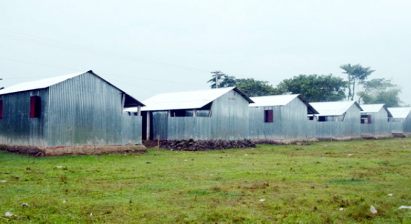 বিশ্বনাথে প্রস্তুত ‘পুষনী গুচ্ছগ্রাম’