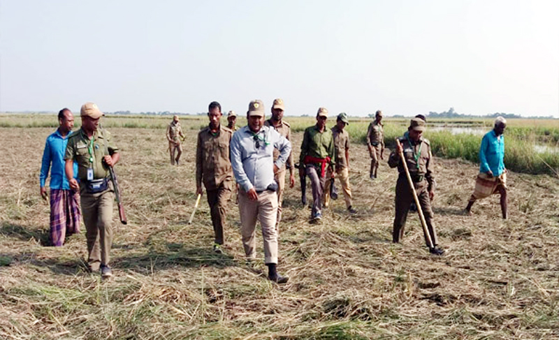 গোয়াইনঘাটে বনবিভাগের বাগান উদ্ধার করতে হামলার শিকার বনকর্মী