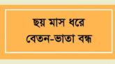 স্বাস্থ্যবিভাগের দুই শতাধিক আউটসোর্সিং কর্মীর মানবেতর জীবন