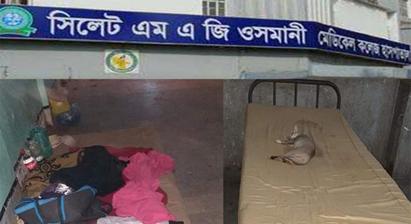 ওসমানী হাসপাতালে দুর্নীতির ভয়ংকর থাবা