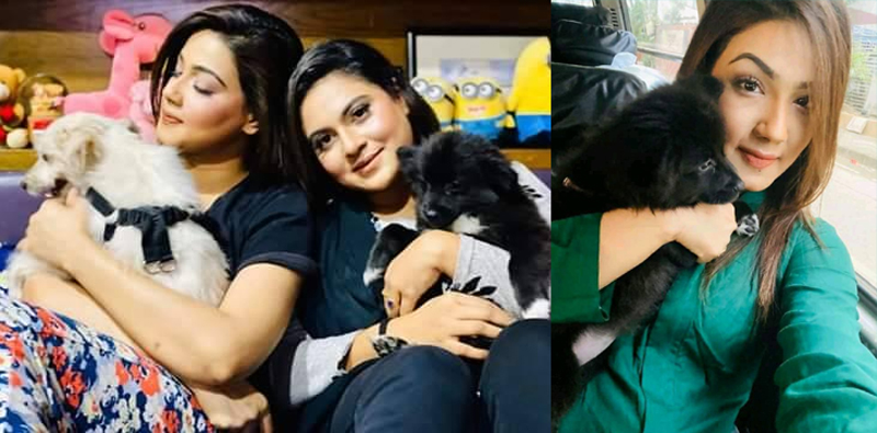 ওকে কুকুর বলবেন না, ও আমার বেবি: মাহি