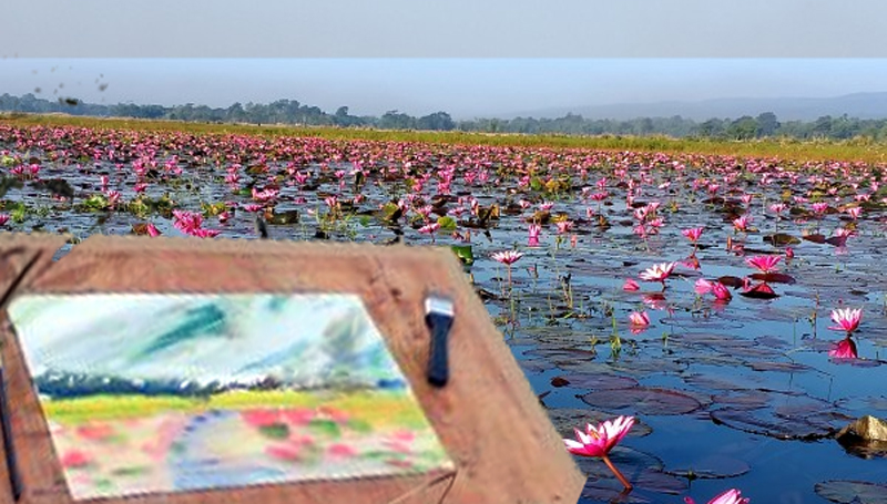 সিলেটের শাপলার রাজ্য বিশ্বের কাছে তুলে ধরবেন জার্মান ও বাংলাদেশের চিত্র শিল্পীরা