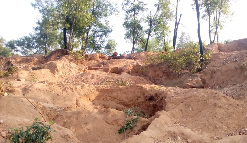 ছাতকে লণ্ডভণ্ড হাঁদা টিলা: পরিবেশ হুমকির মুখে