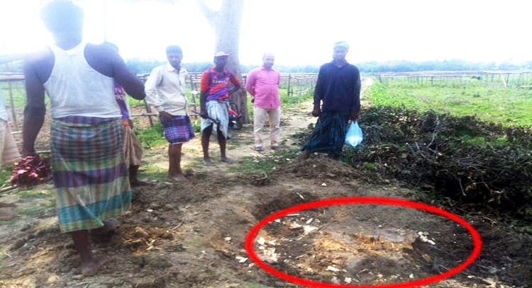 কানাইঘাটে সরকারী গোপাট দখল ও গাছপালা কেটে নেওয়ার অভিযোগ
