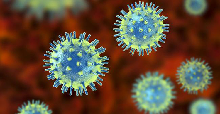 করোনাভাইরাস: সংখ্যা প্রতিদিনই বাড়ছে, সিলেটে ১৪৪৪ কোয়ারেন্টিনে