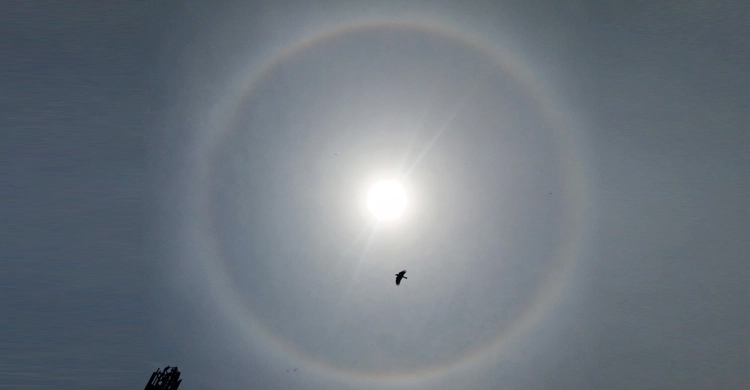 সূর্যের চারপাশে বৃত্তাকার রংধনু