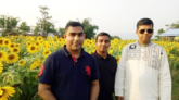 গোয়াইনঘাটে সূর্যমুখী ফুলবাগান পরিদর্শনে জেলা প্রশাসক