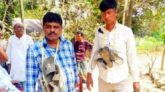 করোনার টিকা বিক্রি, দু’জনকে জুতার মালা পরিয়ে গণধোলাই