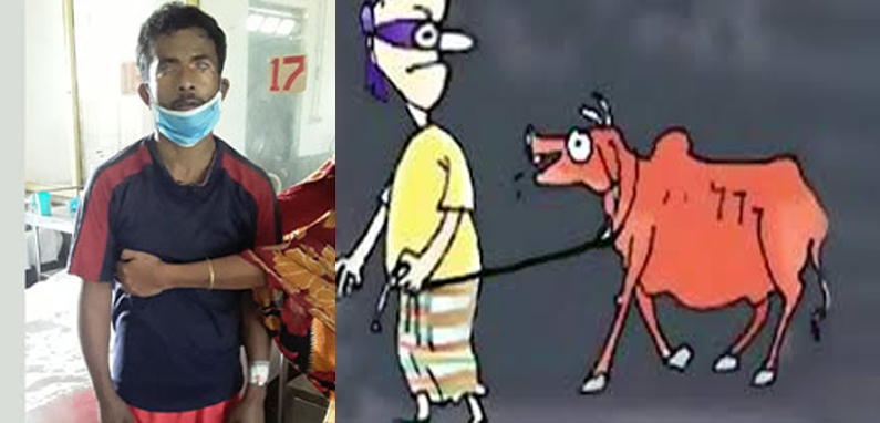 গোয়াইনঘাটে গরু চোরের দাপট!