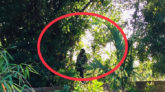 বিশ্বনাথে কবরস্থানে যুবকের ঝুলন্ত লাশ!