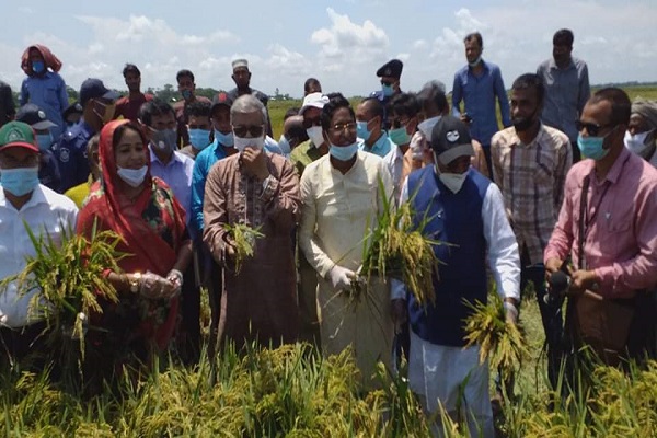 সুনামগঞ্জ হাওরে কৃষকদের জন্য লুঙ্গি, গামছা, সাবান ও খাবার নিয়ে মন্ত্রী-এমপিরা