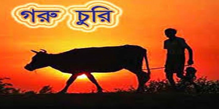 গোয়াইনঘাটের শিয়ালায় গরু চুরির জেরে থামছেনা উত্তেজনা!