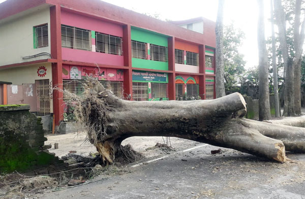 গোয়াইনঘাটে ঘূর্ণিঝড়ে বিধস্ত বিদ্যালয়ের বাউন্ডারি দেওয়াল