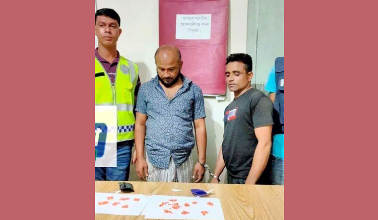 কোম্পানীগঞ্জে ইয়াবাসহ দুই মাদক ব্যবসায়ী আটক