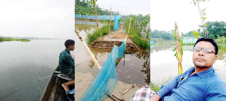 গোয়াইনঘাটে বন্যায় ভেসে গেছে লক্ষ লক্ষ টাকার মাছ