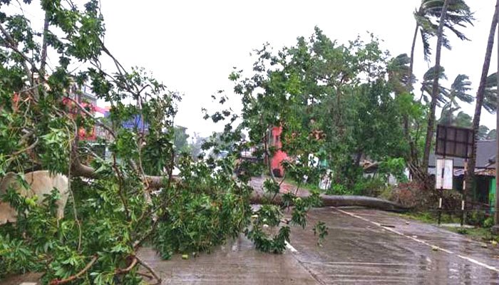 পশ্চিমবঙ্গে আম্ফানের তাণ্ডব শুরু, ভেঙে পড়ছে গাছ বিদ্যুতের খুঁটি