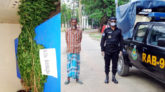 সুনামগঞ্জে ৩৬টি গাঁজার গাছসহ মাদক ব্যবসায়ী গ্রেফতার