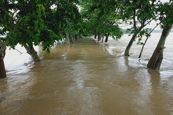 তাহিরপুরে পাহাড়ি ঢলে তলিয়ে গেছে সড়ক, বন্যার আশঙ্কা