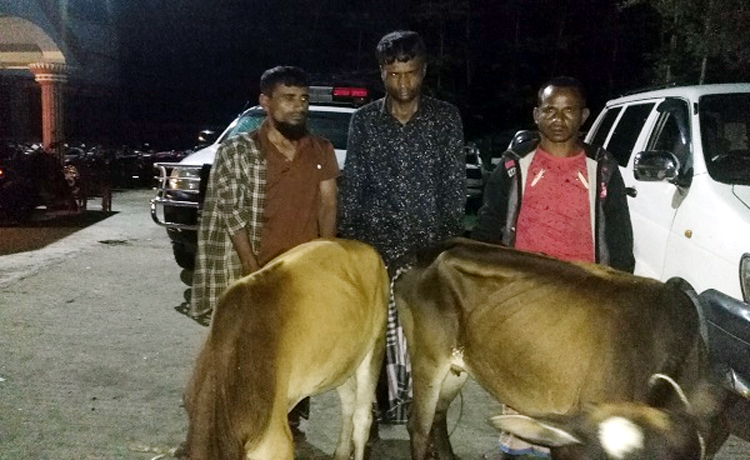 সিলেটে চোরাই গরুসহ গ্রেপ্তার ৪