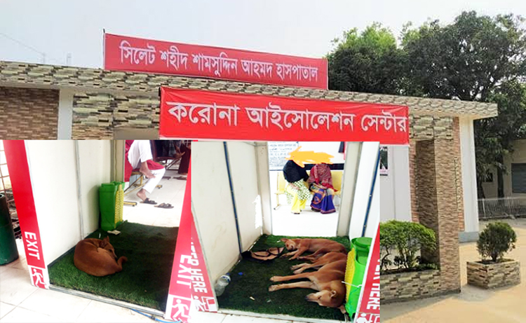 সিলেটে করোনা হাসপাতালের জীবাণুনাশক টানেলে কুকুর ঘুমানোর ছবি ভাইরাল