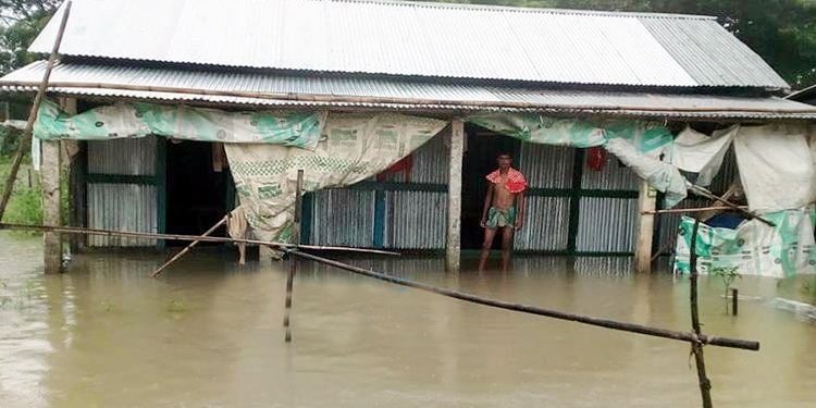 বিশ্বনাথে বেড়েই চলছে নদ-নদীর পানি, নিম্নাঞ্চল প্লাবিত