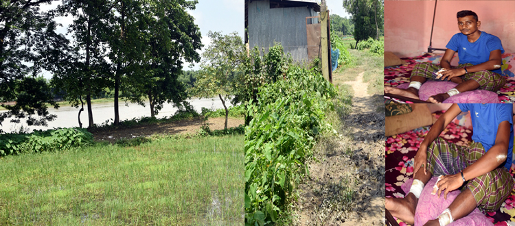 দক্ষিণ সুরমায় বন্যপ্রাণীর আক্রমনে ৫ জন গুরুতর আহত