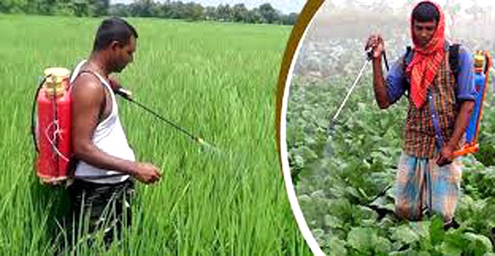 বিশ্বনাথে সবজি চাষে প্রণোদনা পাচ্ছেন ২৫৬ কৃষক পরিবার