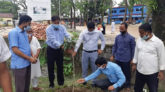 মুজিব বর্ষ উপলক্ষে গোয়াইনঘাটে বৃক্ষ রোপণ কর্মসূচির উদ্বোধন