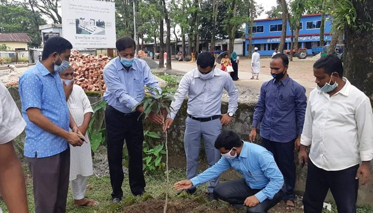 মুজিব বর্ষ উপলক্ষে গোয়াইনঘাটে বৃক্ষ রোপণ কর্মসূচির উদ্বোধন