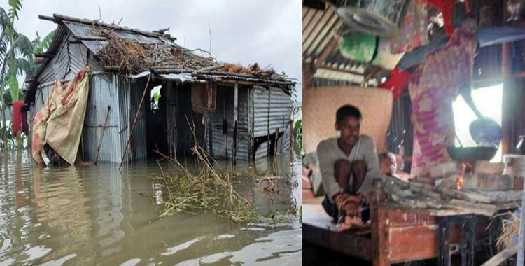 সেলাই মেশিনের উপর রান্না গোয়াইনঘাটে পানিবন্দি মানুষের আহাজারি