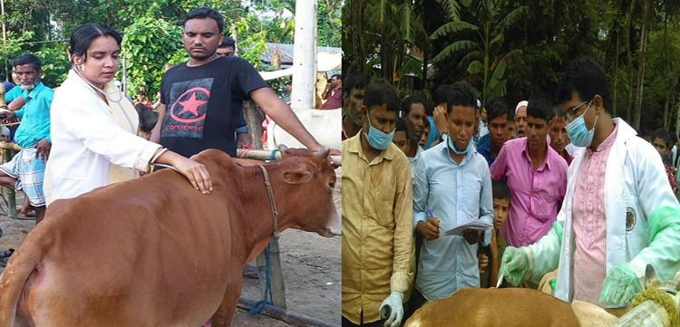 গোয়াইনঘাটে কুরবানীর হাট পরিদর্শনে প্রাণী সম্পদ অধিদপ্তর