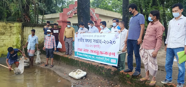 গোয়াইনঘাটে জাতীয় মৎস্য সপ্তাহ’র উদ্বোধন পোনামাছ অবমুক্ত