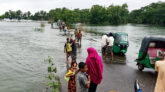গোয়াইনঘাট বন্যার পানিতে সয়লাব, নিমজ্জিত আমন ধান