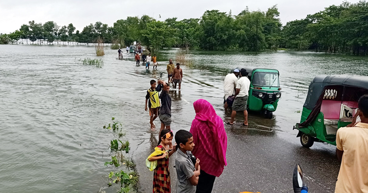 গোয়াইনঘাট বন্যার পানিতে সয়লাব, নিমজ্জিত আমন ধান