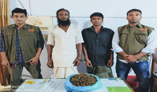 বিশ্বনাথ থেকে ১ কেজি গাঁজা উদ্ধার, দুই মাদক ব্যবসায়ী গ্রেফতার