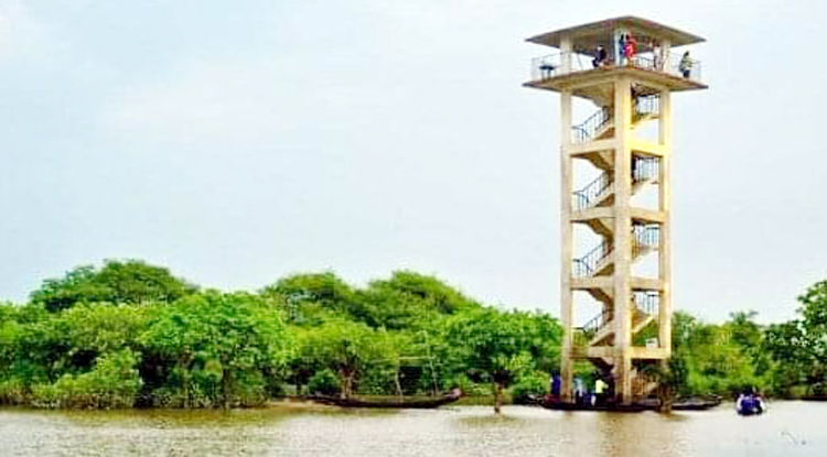 দুর্ঘটনা এড়াতে বন্ধ ঘোষণা করা হয়েছে রাতারগুল ওয়াচ টাওয়ার